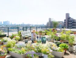 Populer Properti, 50 Rumah Khusus di Gorontalo hingga Tips Membuat Rooftop Garden